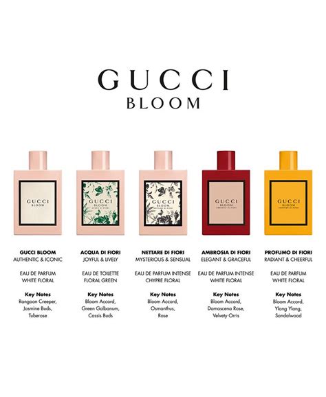 macys gucci bloom